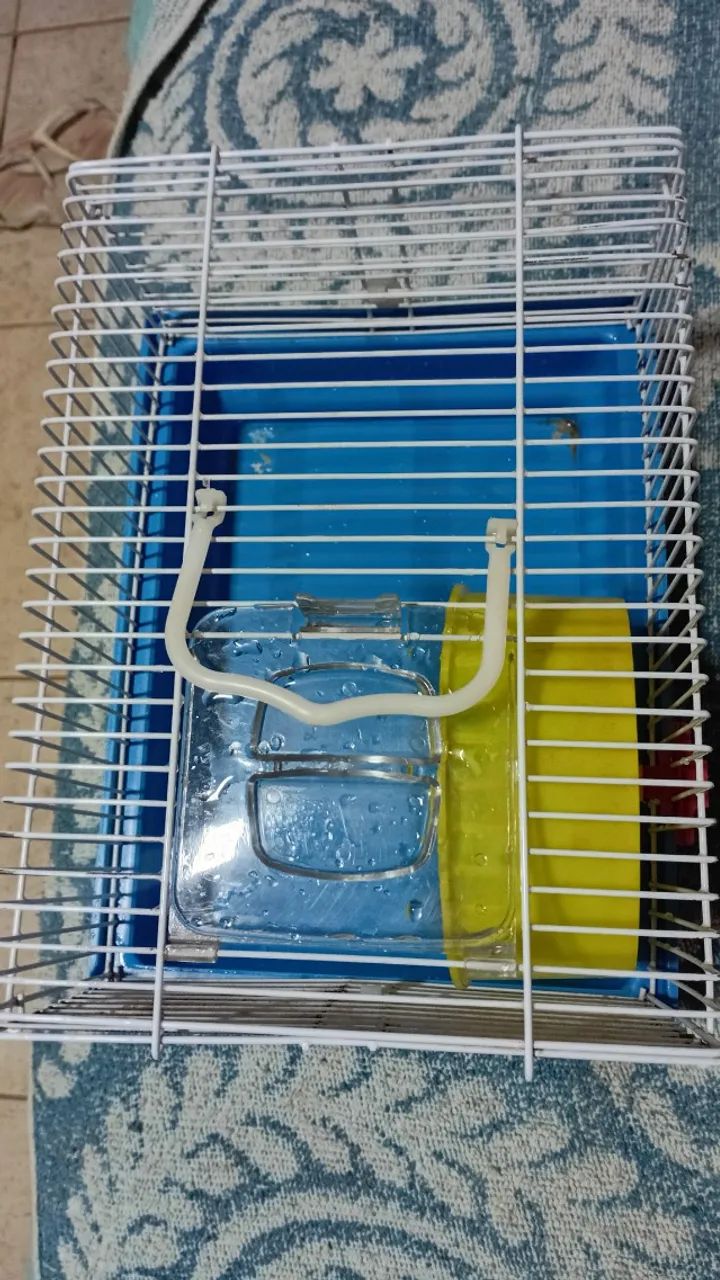 Gaiola para ramisters - Foto 2