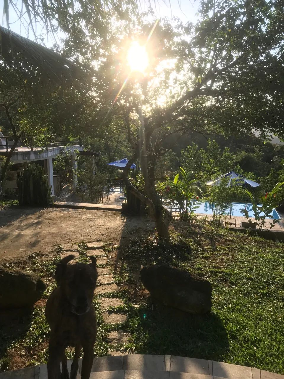 Refúgio em Meio à Natureza ! Se presenteie com dias de descanso sem pensar em nada!  - Foto 5