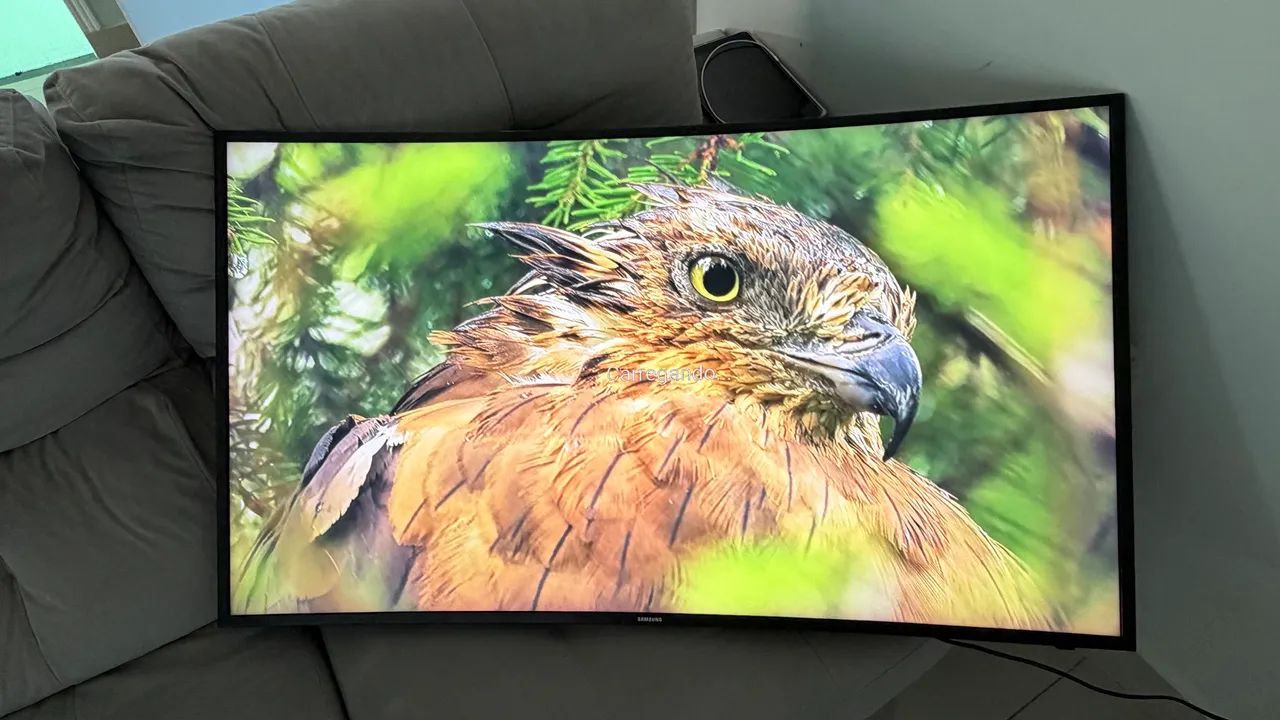 Smart TV 49?, 4K UHD, tela curva.