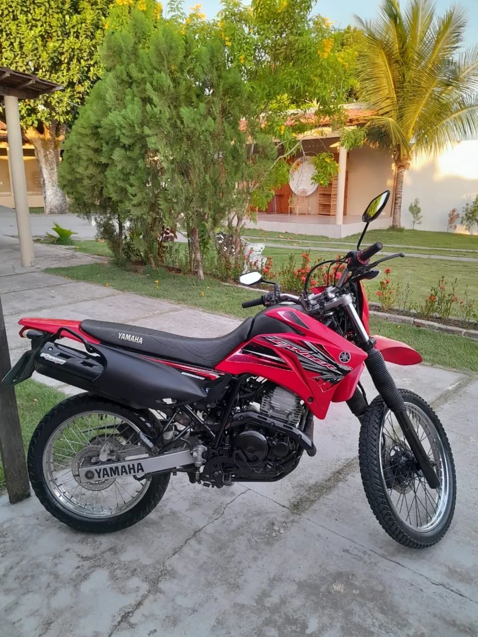 Lander 250 2017 - Foto 3