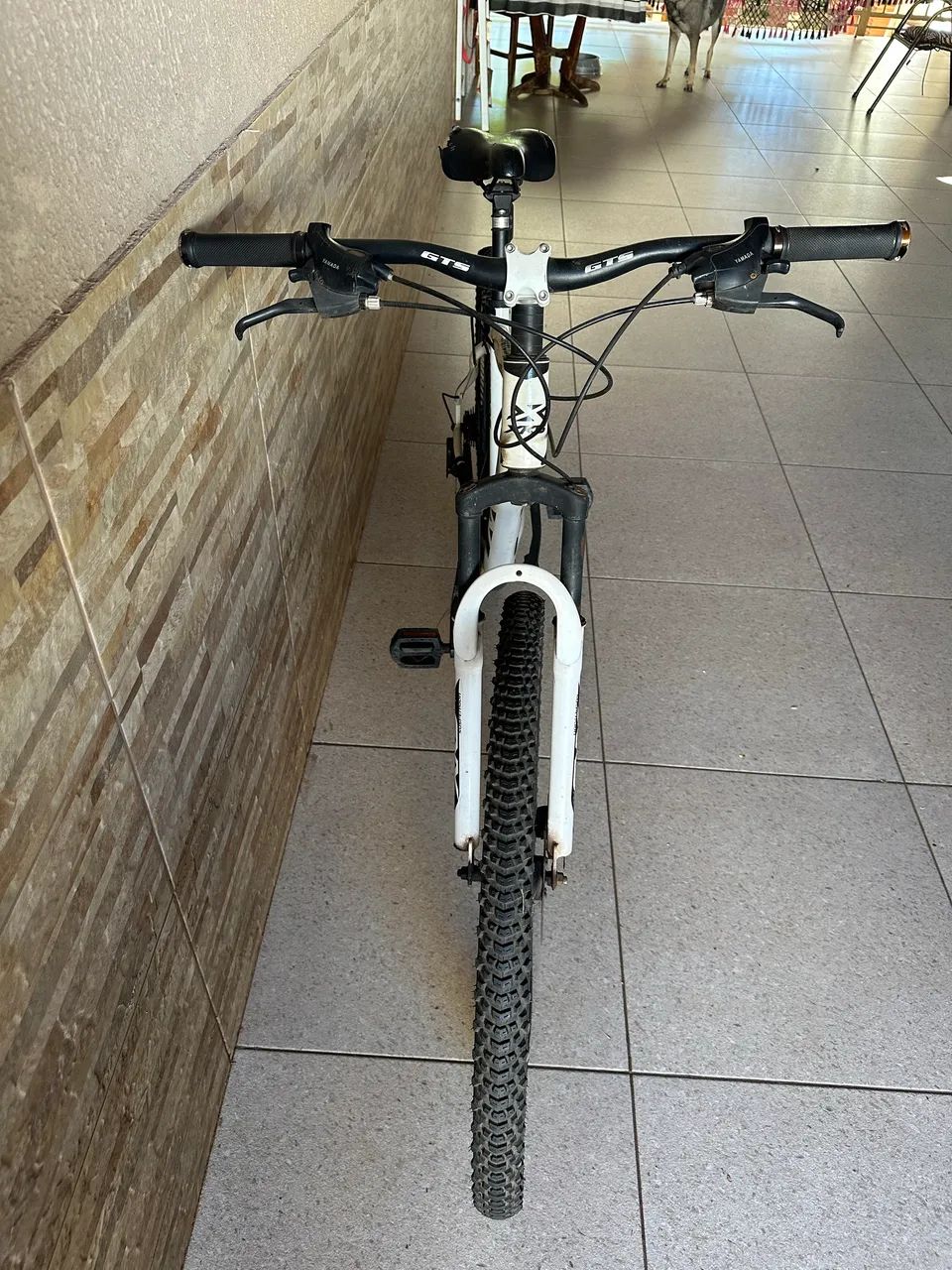 Bicicleta aro 29