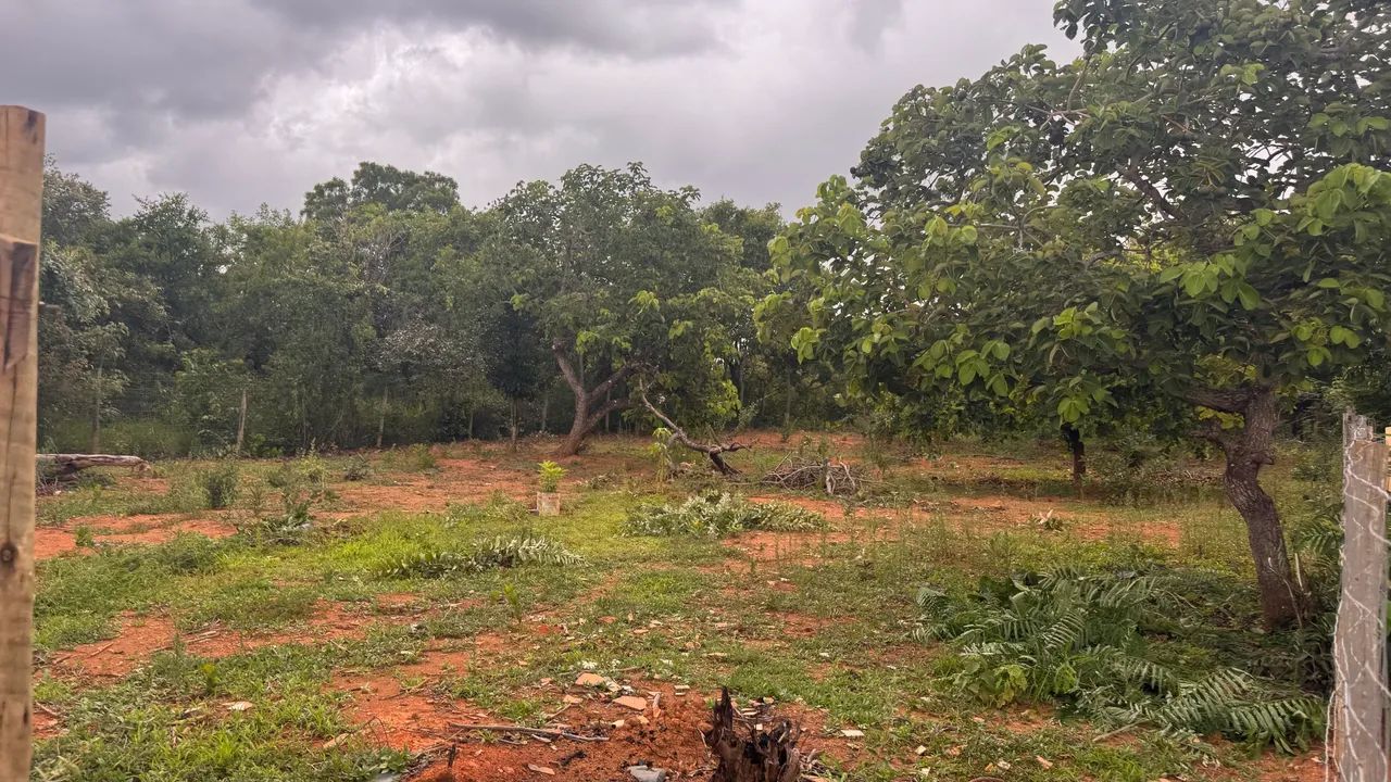 Lote Caetanopolis 