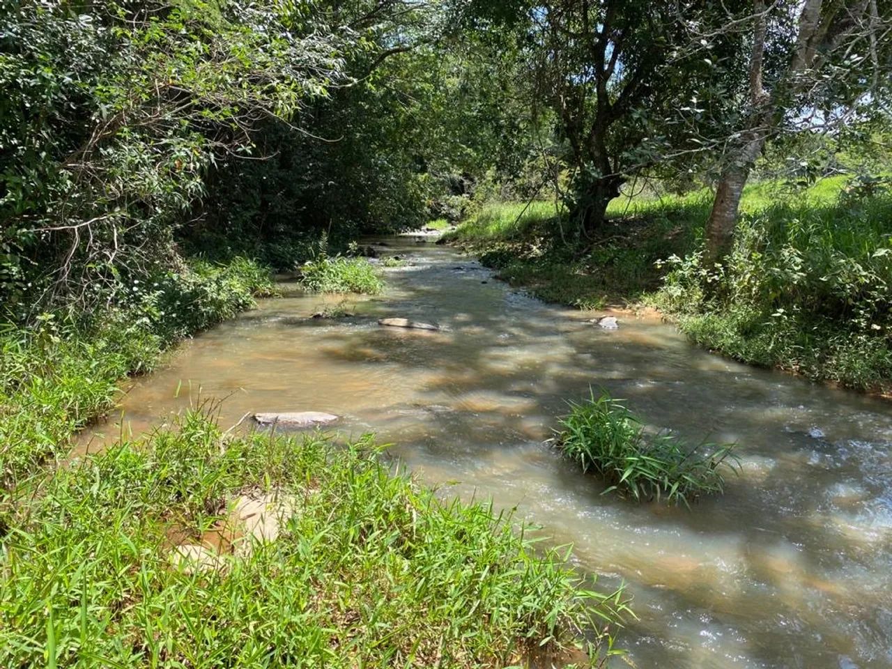 Chácara de 6 hectares próximo à Cristianopolis com córrego! - Foto 5