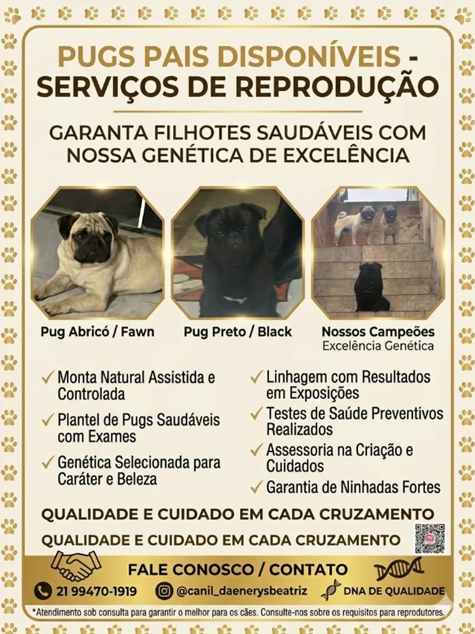 PUG DISPONÍVEL PARA REPRODUÇÃO 