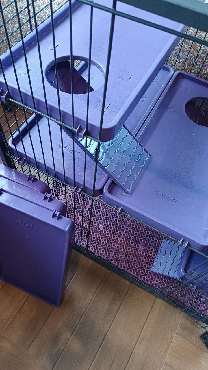 Gaiola Roedor  - Foto 3