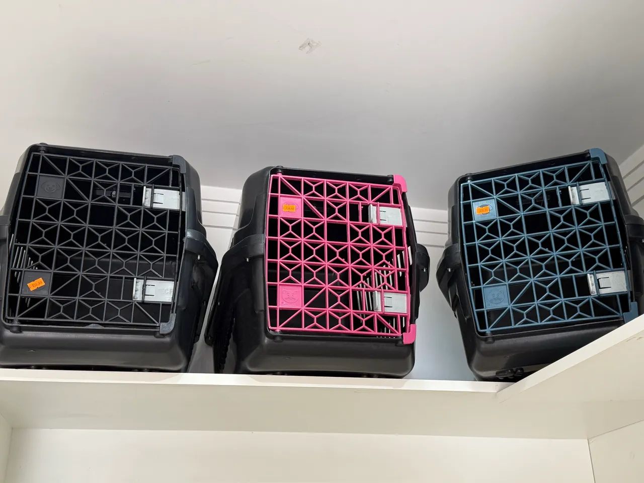 Caixa de transporte pet n5 novas