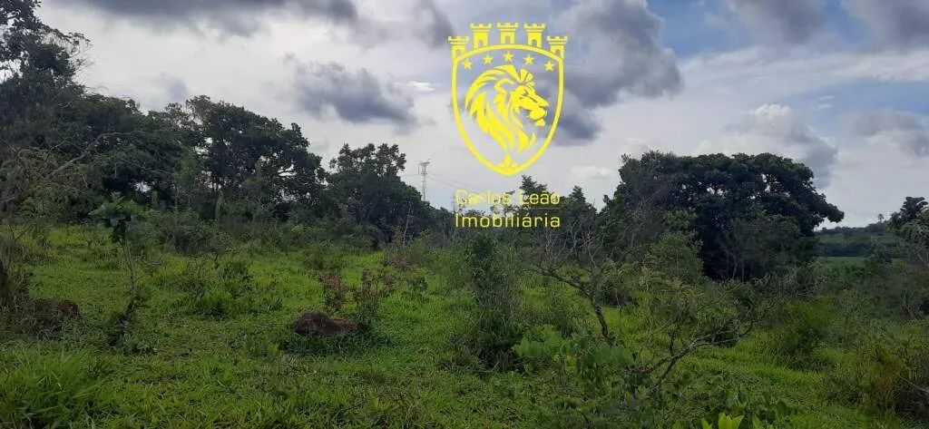 Fazenda / Sítios / Chácaras à venda em Formiga - Foto 2