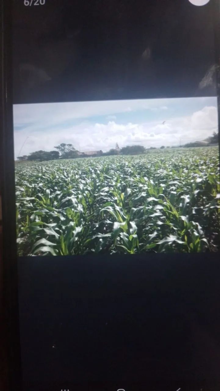 Porteira Fechada  - Foto 2