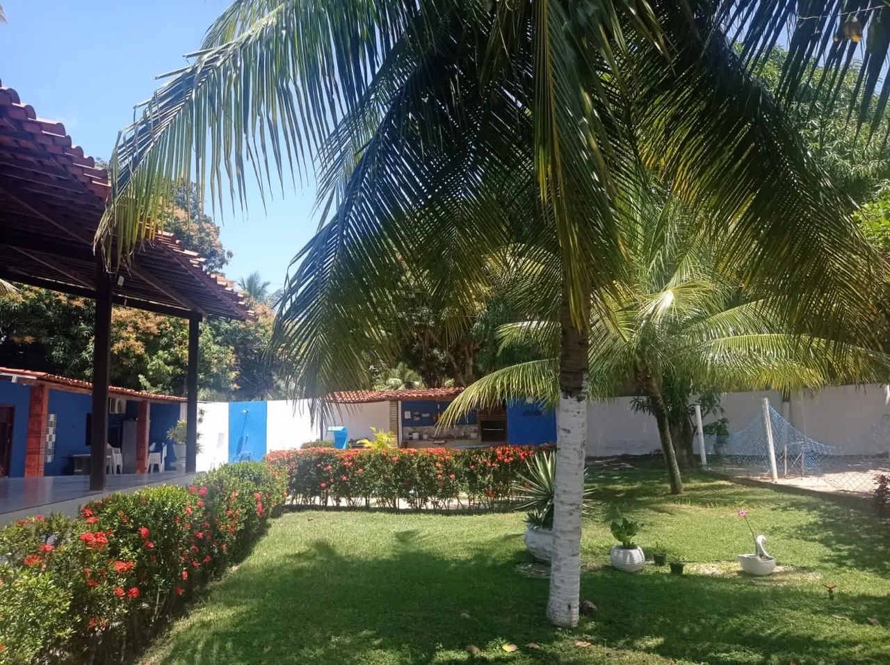 Temporada  - Foto 4