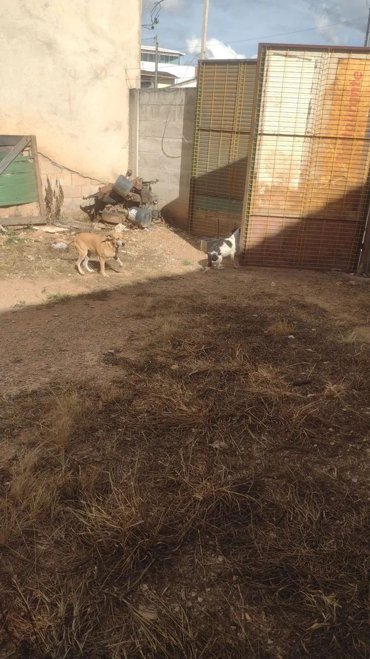 Vendo lote no diamante  - Foto 4