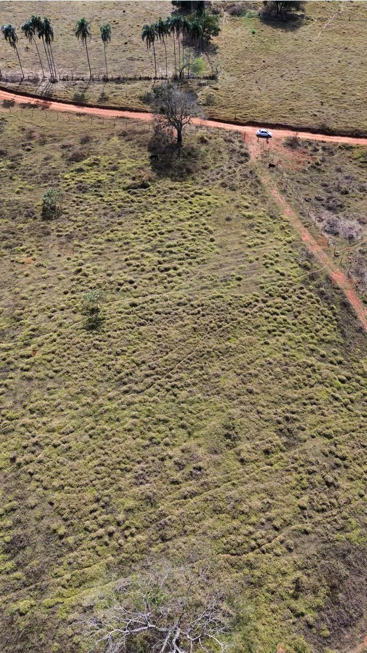 Chácara de 20.000m2 em Bonfinópolis com Rio 7 km da cidade  - Foto 2
