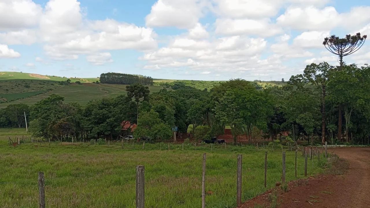 Sítio em São Pedro (12 Alqueires) - Foto 2