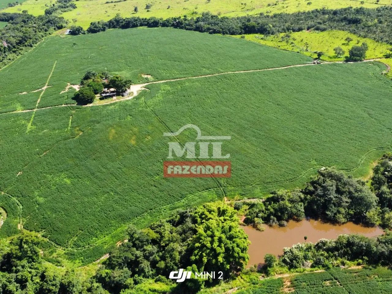 Fazenda 33,5 alqueires (161 hectares) Ipameri - GO - Foto 2