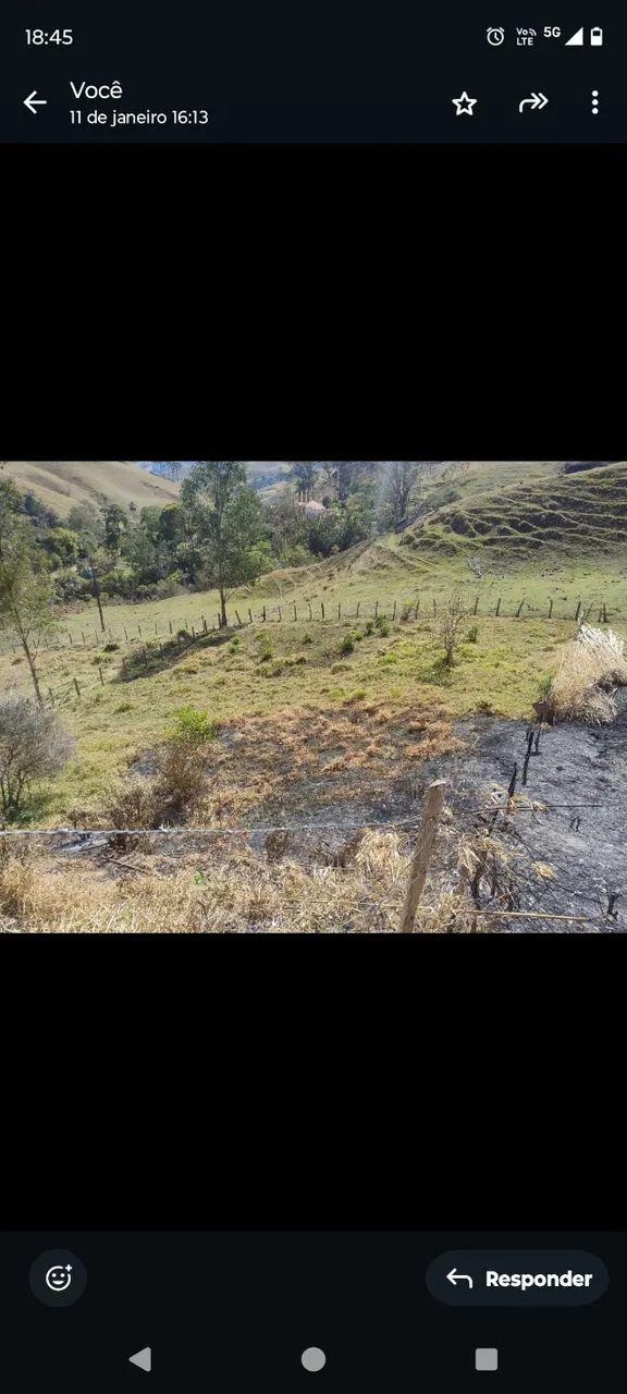 Foto - Campos do Jordão - 