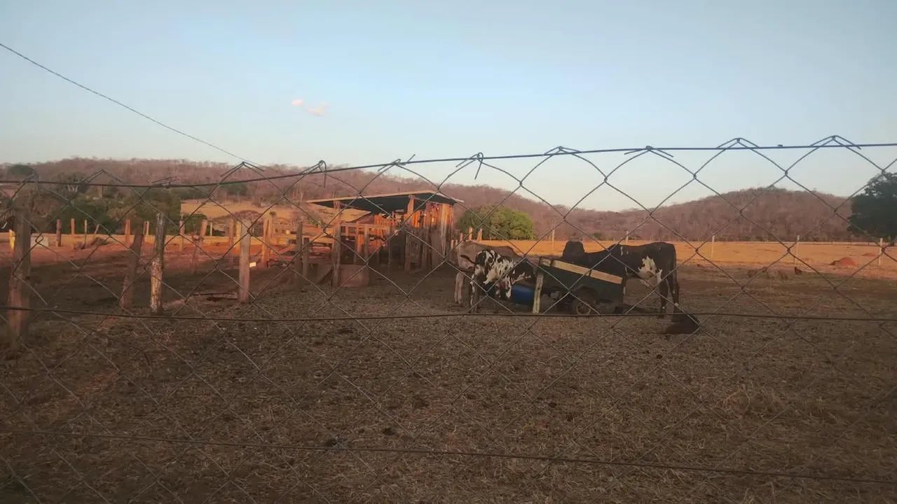 Chácara município de Itaberai  - Foto 5