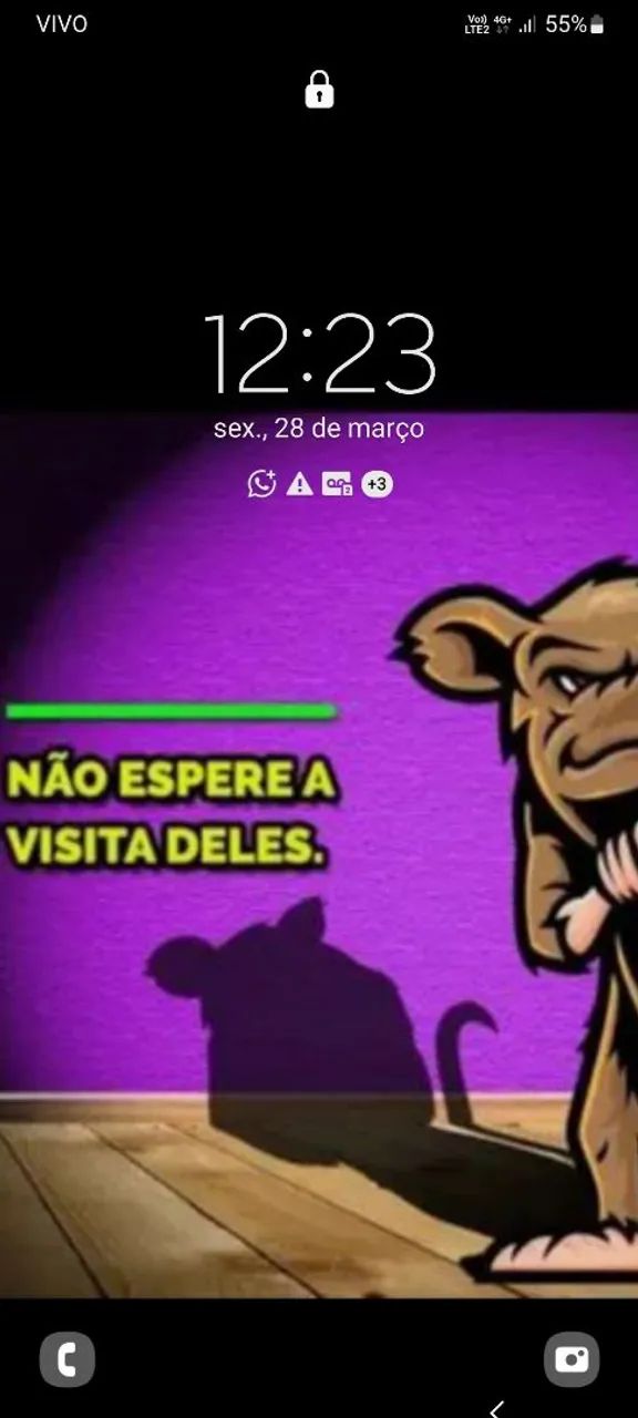 Dedetizacao e desratização em geral  - Foto 2