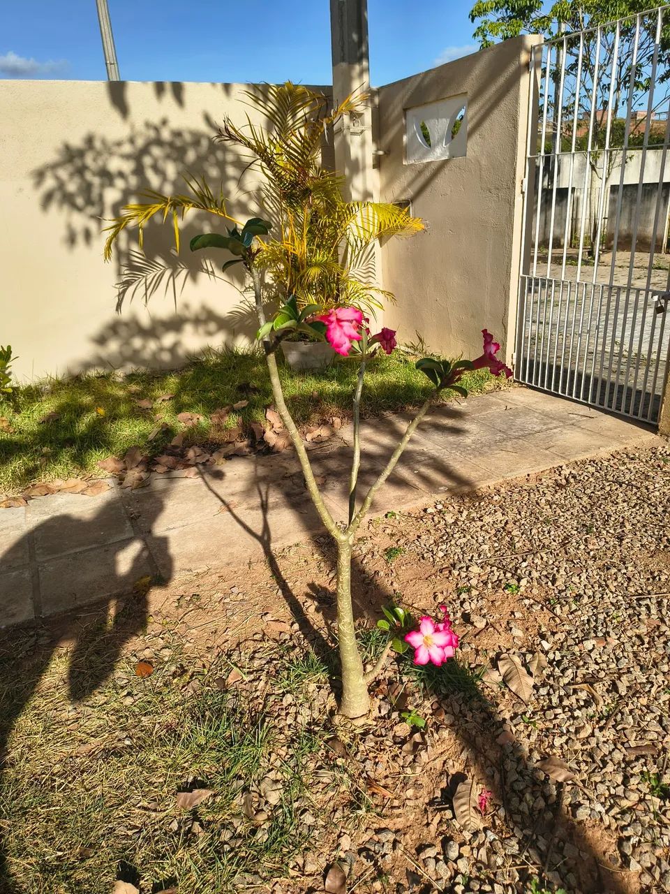 OPORTUNIDADE! REPASSE (CEF) LINDA CASA;  reformada e com Split nos quartos.  - Foto 4