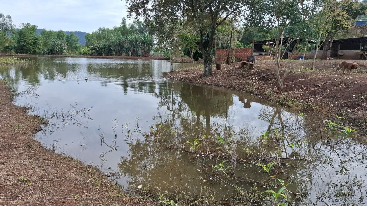 Sítio  próximo a Campo Mourão  - Foto 2