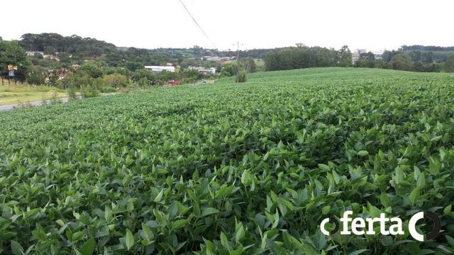 Terreno em Contenda 23.000 m2 na faixa de Comércio e Serviço - Foto 7