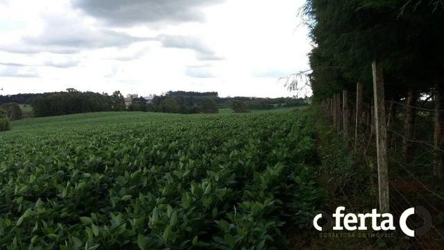 Terreno em Contenda 23.000 m2 na faixa de Comércio e Serviço - Foto 2