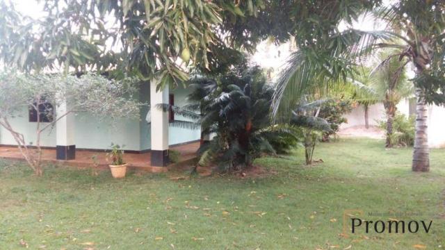 Chácara no Mosqueiro, linda com todo tipo de frutas, piscina e possibilidade de negociação - Foto 7