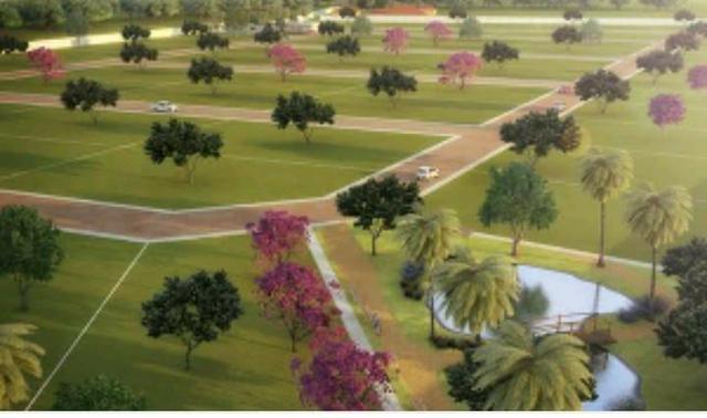 LS-Saia da correria de SP e venha fazer parte do Interior repleto da Natureza!!
