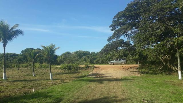 TTerrenos Próximo ao Trevo de Búzios. - Foto 3