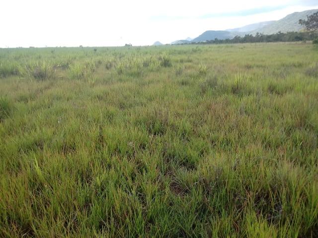 Fazenda Rosario Oeste 50 km fora asfalto 782 ha R$ 3 mi - Foto 9