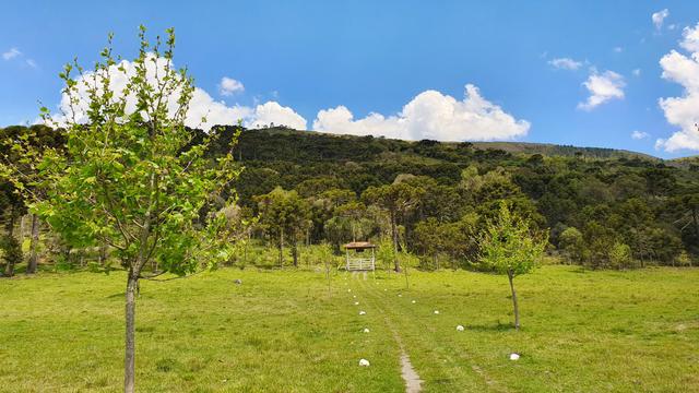Sítio em Urubici/chácara em Urubici/área rural em Urubici - Foto 10