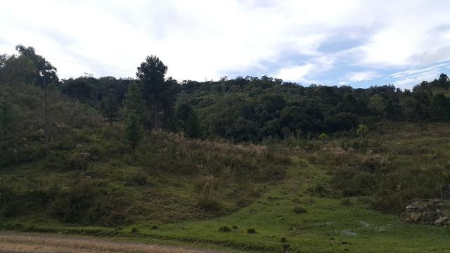 Terreno de 30.000m2 para chácara em Campo Alegre - Foto 20