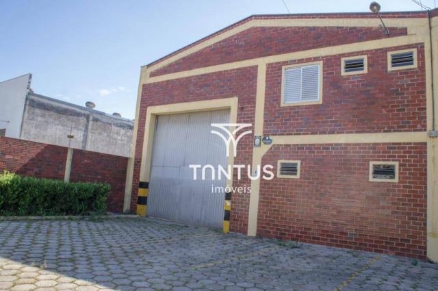 Barracão para alugar, 245 m² por r$ 2.700,00/mês - iná - são josé dos pinhais/pr - Foto 3