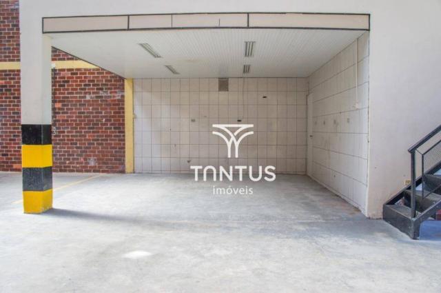 Barracão para alugar, 245 m² por r$ 2.700,00/mês - iná - são josé dos pinhais/pr - Foto 6