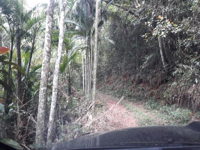 Sitio em Toca da onça,Lumiar,Nova Friburgo - Foto 8