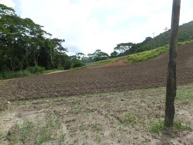 154 - Área de terra em Providência - Foto 11