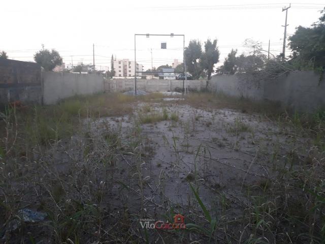 Terreno murado e aterrado de frete para a rodovia - Foto 4