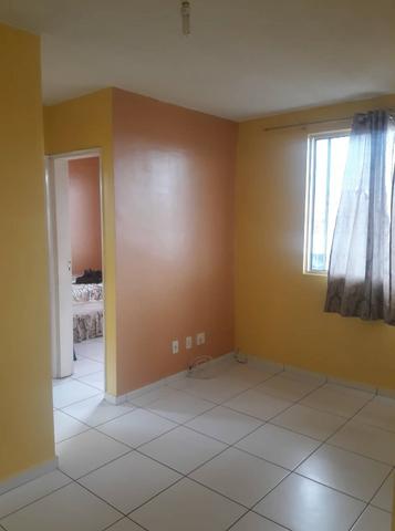 Ideal samambaia no 5 andar não peço caução e no 3 andar, esse peço caução