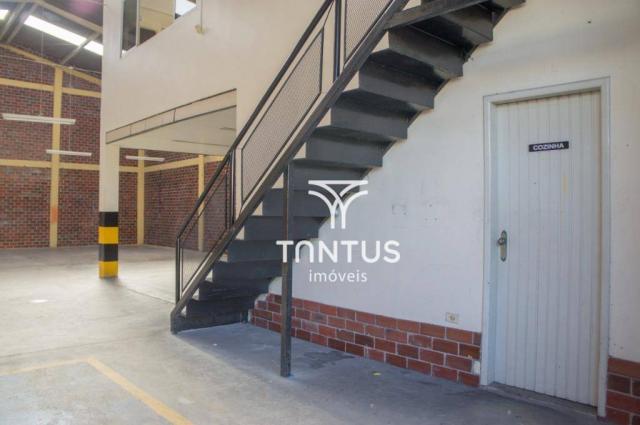 Barracão para alugar, 245 m² por r$ 2.700,00/mês - iná - são josé dos pinhais/pr - Foto 5