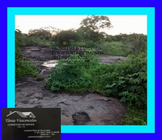 Fazenda Próximo Avencas por 15 mil ,cada Hectares ,Agende já sua Visita ! - Foto 7