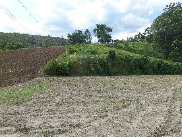 154 - Área de terra em Providência - Foto 3