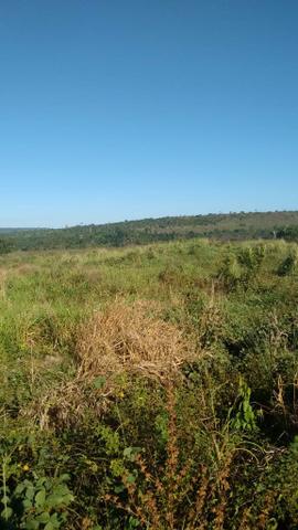 FAZENDA COM 1247 HECTARES / 800 hectares em pastagem abertas - Foto 6