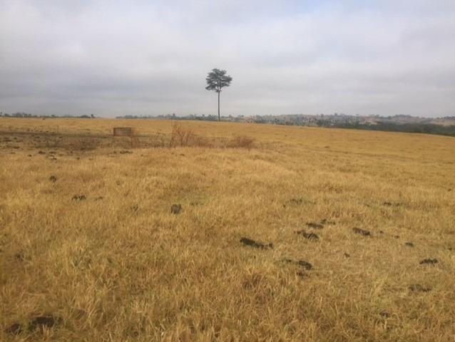 Fazenda 20 - Foto 5