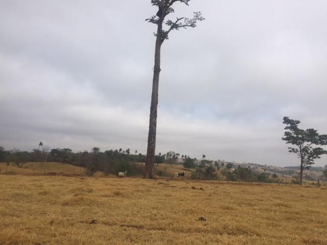Fazenda 20 - Foto 13