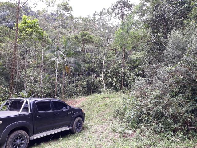 Sitio em Toca da onça,Lumiar,Nova Friburgo - Foto 19