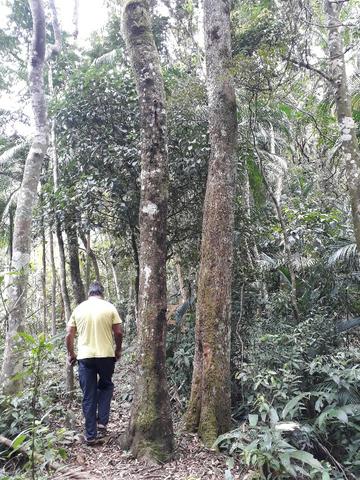 Sitio em Toca da onça,Lumiar,Nova Friburgo - Foto 18
