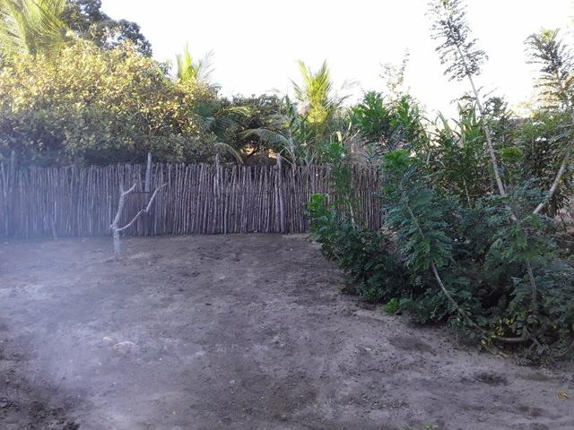 Terreno - Foto 3