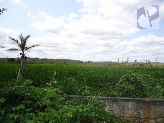 Fazenda rural à venda, Zona Rural, Pacatuba - FA0001. - Foto 6