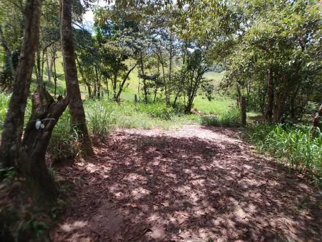 Vendo Fazenda com 27,5 Hectares em Rio Calçado - Guarapari - Foto 20