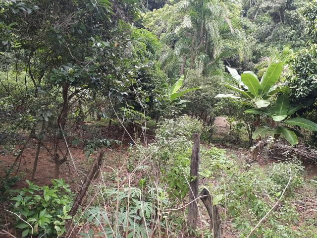 Sitio a venda em Andana-Guarapari ES com 2 - Foto 18