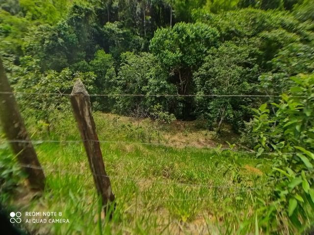 Vendo Fazenda em Rio da Prata - Distrito de Guarapari - Foto 9