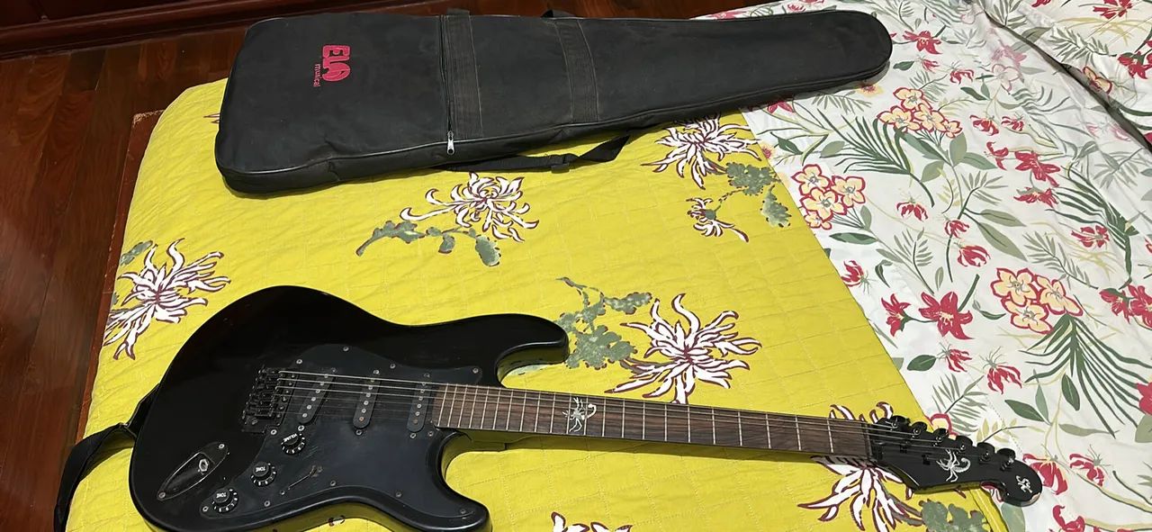 Vendo Guitarra Stratocaster Sx